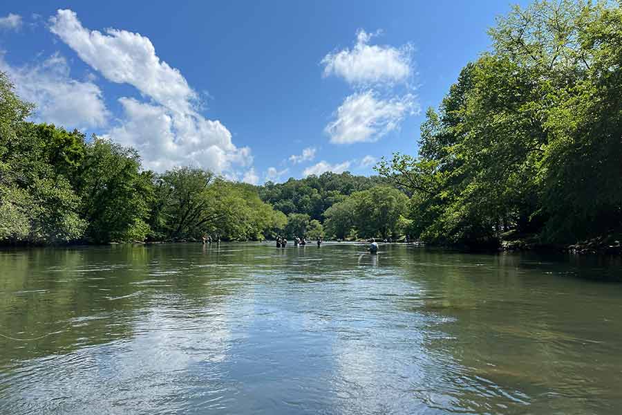 Toccoa River Flyfishing in Tennessee